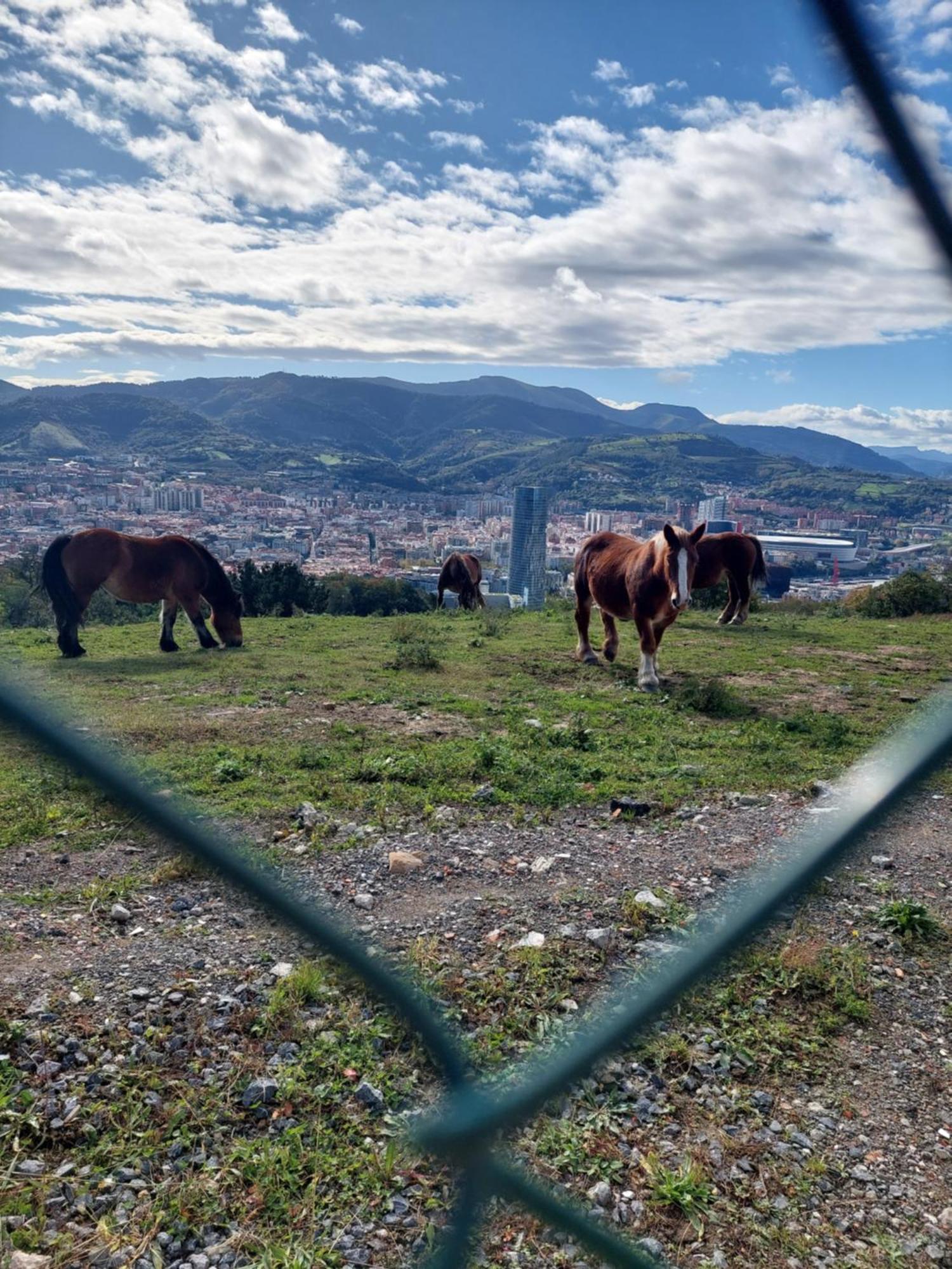 Bilbao Center Apt 90'S Parking Екстериор снимка